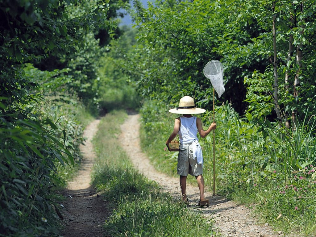 Время провождения на природе
