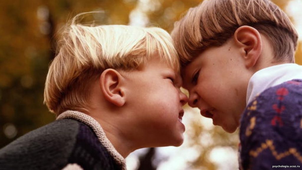 Виды агрессивного поведения детей