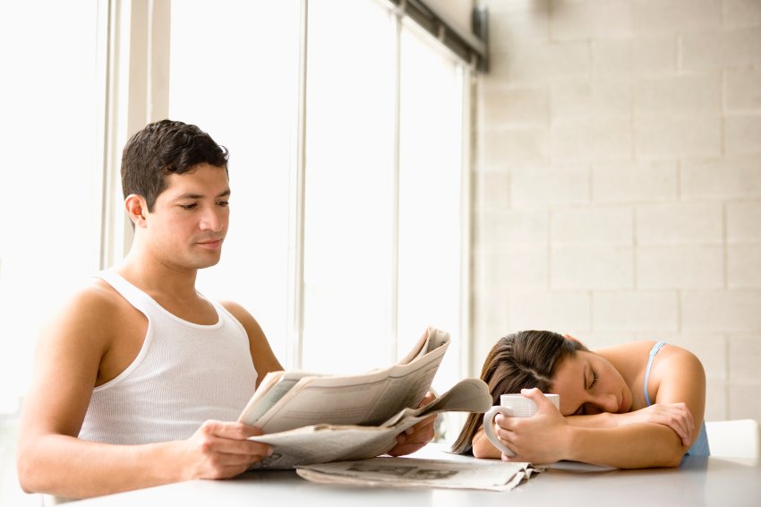 Совы и жаворонки люди