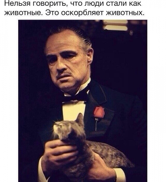 Аль Пачино 80 лет: собрали мемы по мотивам фильма «Крестный отец»