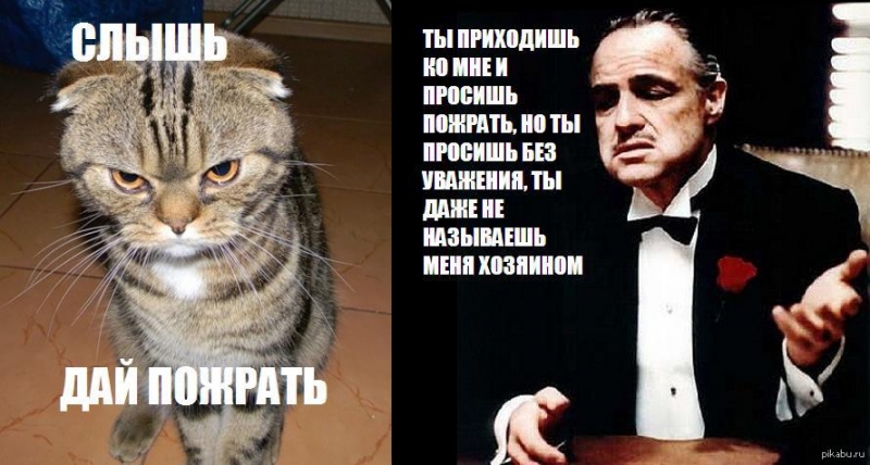 Аль Пачино 80 лет: собрали мемы по мотивам фильма «Крестный отец»