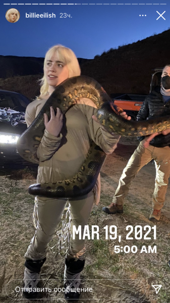 Моя лучшая работа: Билли Айлиш представила новый клип об абьюзивных отношениях