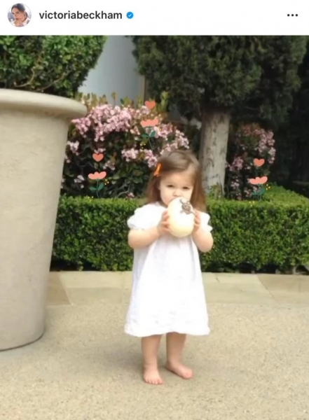 Пасхальные кролики и семейные снимки: как голливудские звезды отметили Пасху