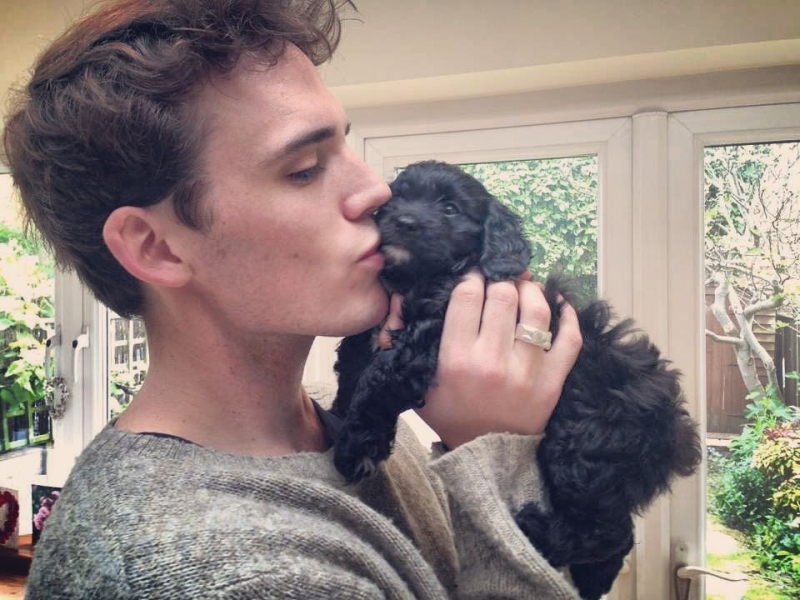 «Плюшевые мишки»: каких собак заводят звезды