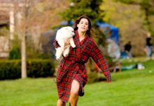 «Плюшевые мишки»: каких собак заводят звезды