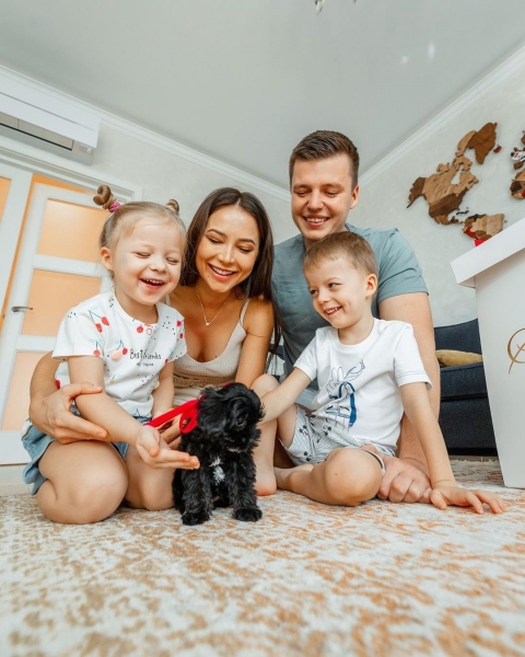 «Плюшевые мишки»: каких собак заводят звезды