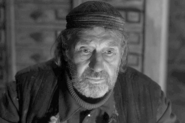 Премия «Ника»: полный список победителей