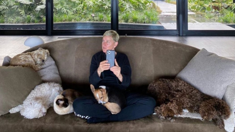 The Ellen Show возвращается: Крисси Тейген и Джон Ледженд - первые гости карантинного выпуска шоу Эллен Дедженерес