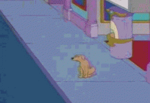 В Москве задержали мужчину с собакой: звезды встали на его защиту