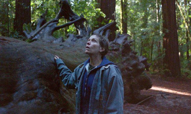 «Земля кочевников»: топ интересных фактов о главном фильме года