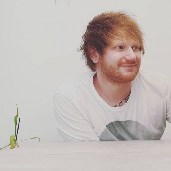 Звезда TikTok и Instagram: показываем, как выглядит двойник Эда Ширана