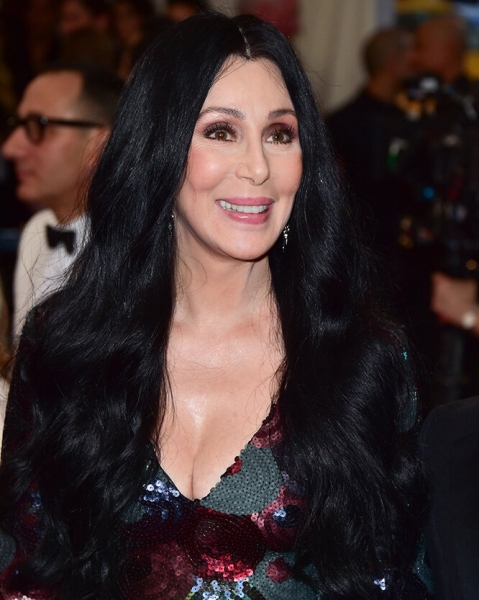 3 ринопластики, подтяжка лица и ботокс: как с годами менялась Шер