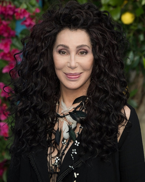 3 ринопластики, подтяжка лица и ботокс: как с годами менялась Шер