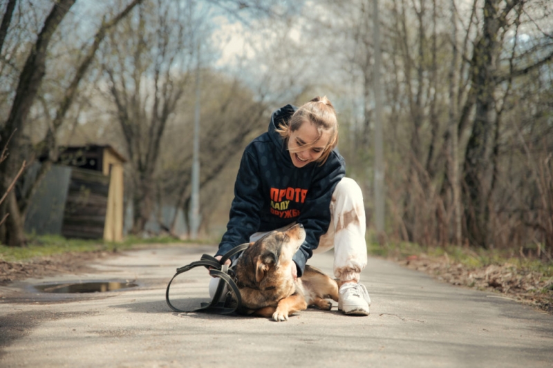 Аня Покров, Артур Бабич и Маха Горячева помогают бездомным животным 