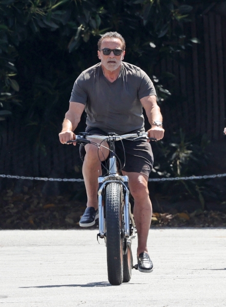 Дженнифер Гарнер, Ева Лонгория, Кортни Кокс: собрали все выходы звезд за день 