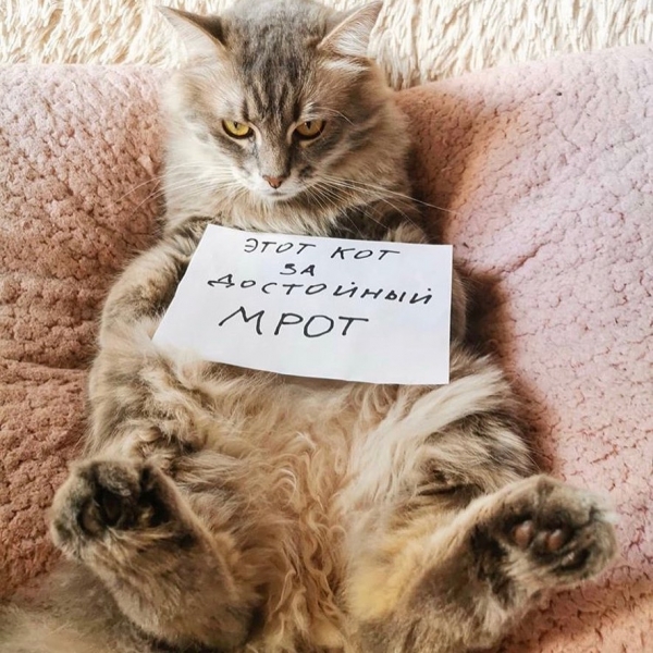 Монстрация 2020: показываем, как прошла акция художественного протеста