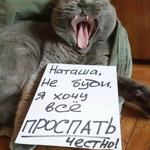 Монстрация 2020: показываем, как прошла акция художественного протеста