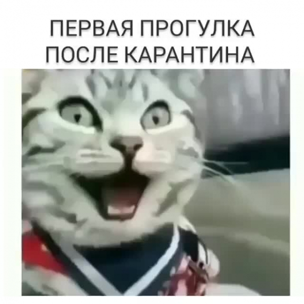 На старт, внимание, марш: собрали самые смешные мемы про жизнь после карантина