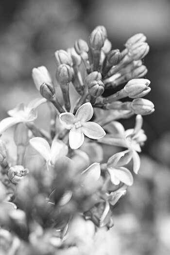 Парфюмерная ностальгия: 10 любимых духов твоей мамы