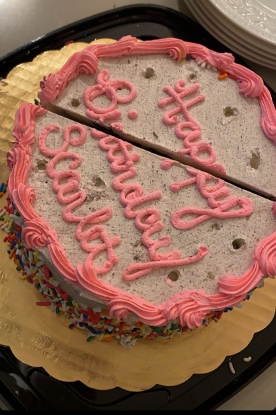 «Потрясающая»: Сильвестр Сталлоне показал дочь-красотку в день ее рождения