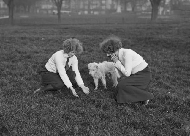 Праздник весны и труда: история Первого мая