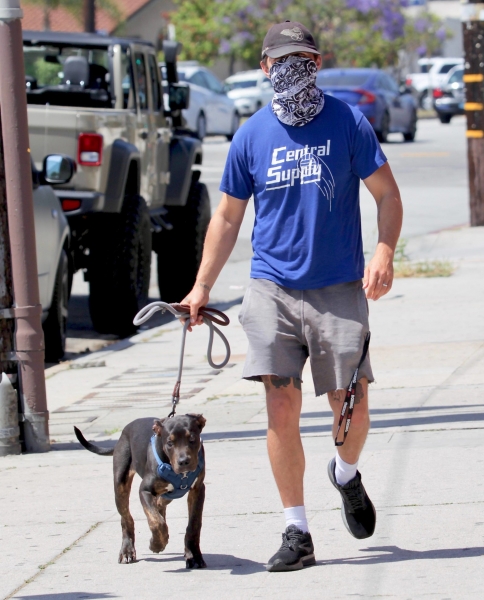 Вместо красных дорожек: собрали топ выходов звезд за сутки