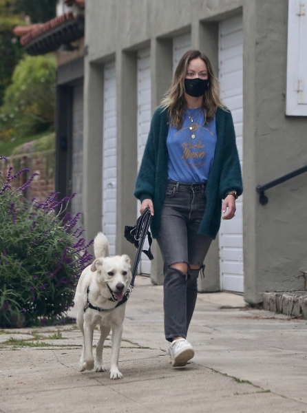 Вместо красных дорожек: топ лучших выходов звёзд на прогулки с собакой