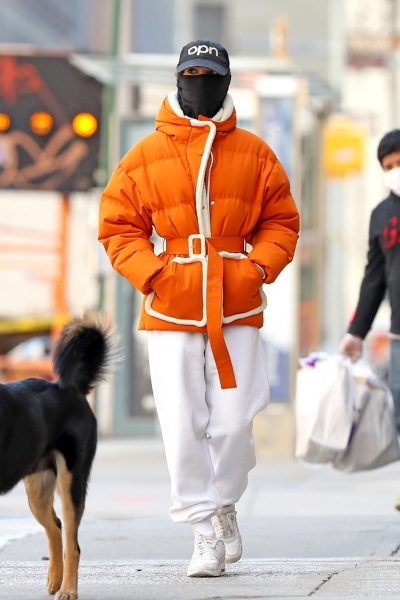 Вместо красных дорожек: топ лучших выходов звёзд на прогулки с собакой