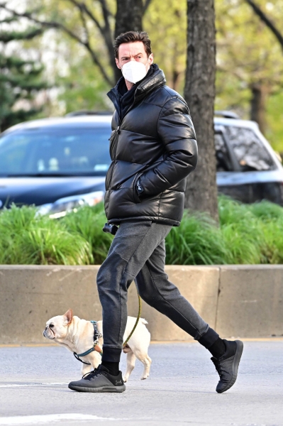 Вместо красных дорожек: топ лучших выходов звёзд на прогулки с собакой