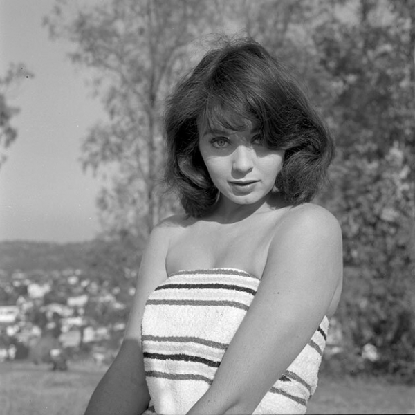 Все победительницы «Мисс Вселенная»: как изменились идеалы красоты c 1952 года