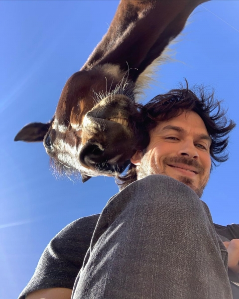 Вспомнить все: показываем, как сейчас выглядят звезды сериала «Остаться в живых»