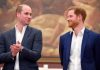 Жесткий ультиматум: раскрыто условие прекращения вражды принцев Гарри и Уильяма