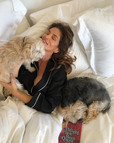 Звезды старше 50: топ-10 красоток, которые не выглядят на свой возраст 