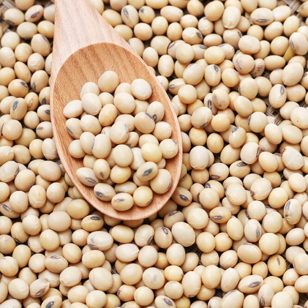 Что едят японки, чтобы не полнеть: 10 секретов стройности азиатских девушек