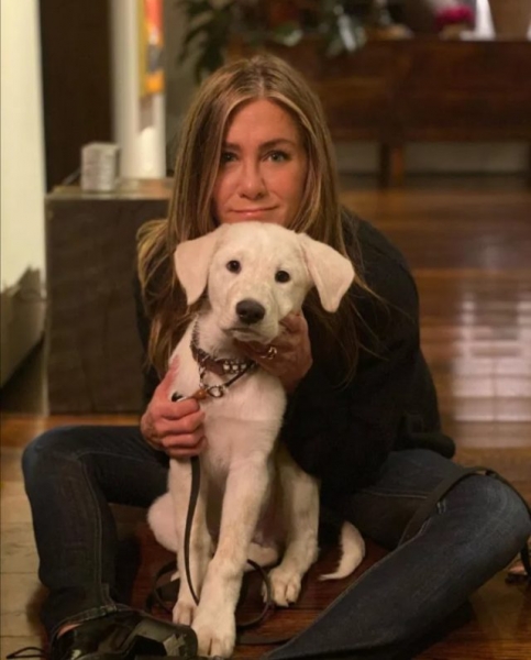 О детях, замужестве и терапии: Дженнифер Энистон рассказала, что помогает ей избегать вопросов о личной жизни