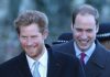 Разрешат все разногласия: Уильям и Гарри проведут личную встречу после открытия памятника принцессе Диане