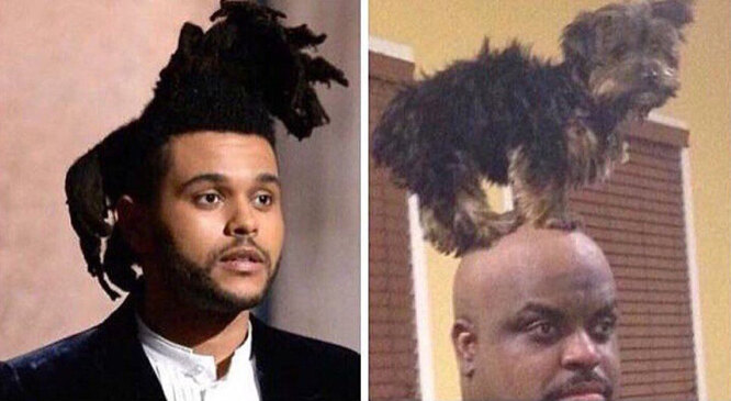 Трамп — спелая кукуруза и другие звёздные причёски-мемы