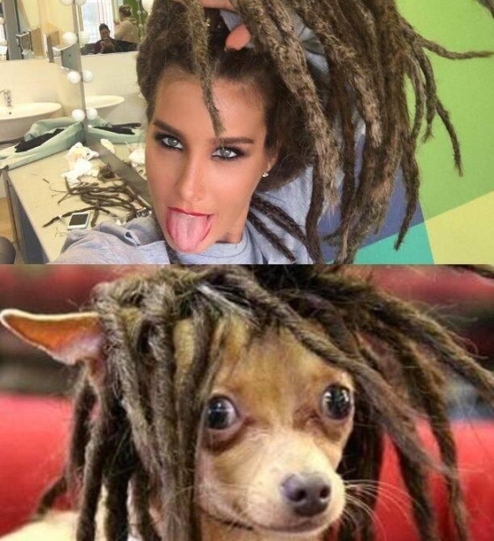 Трамп — спелая кукуруза и другие звёздные причёски-мемы