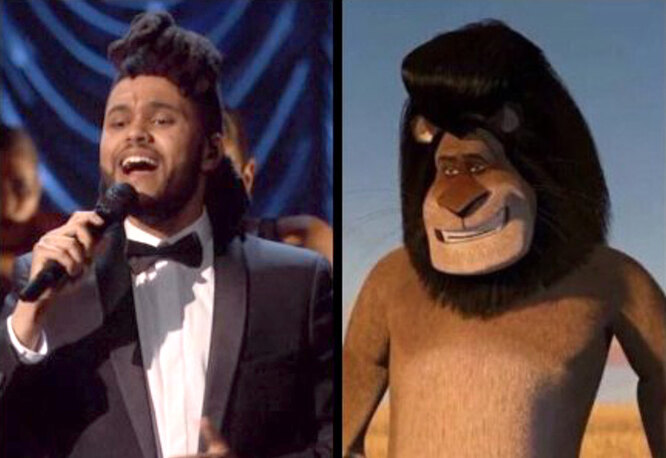 Трамп — спелая кукуруза и другие звёздные причёски-мемы