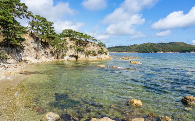 Звезды на страже экологии и ароматы, которые защищают природу: чем интересен новый бьюти-проект, оберегающий моря России