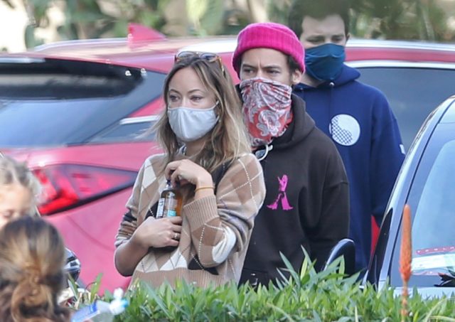 Тайный знак любви: Оливия Уайлд призналась в чувствах к Гарри Стайлсу интересным способом