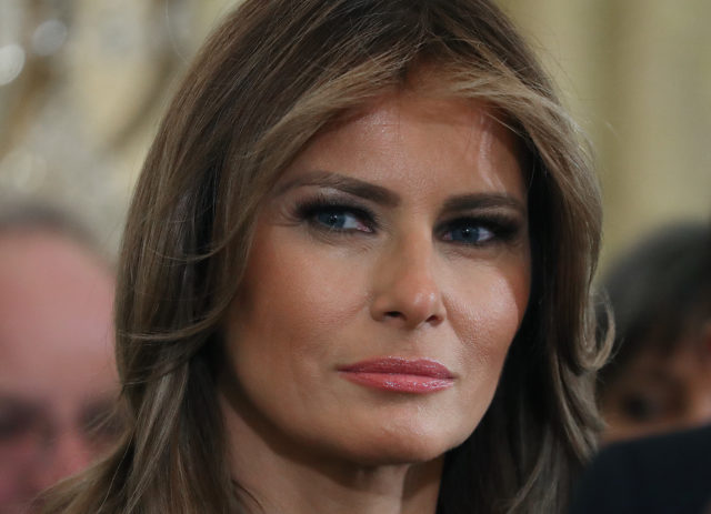 Теория заговора: новый выход &laquo;двойника&raquo; Мелании Трамп 