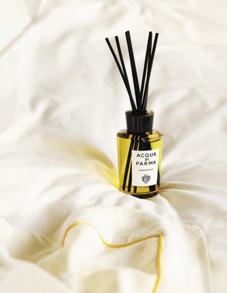 Роскошь быть дома: коллекция интерьерных ароматов Acqua di Parma 