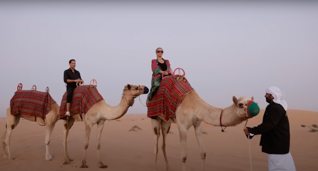 Как Пэрис Хилтон и Картер Реум проведет медовый месяц