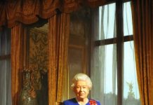 Королева Елизавета II переболела коронавирусом и вернулась к работе