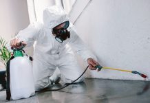 Что нужно знать про уничтожение насекомых