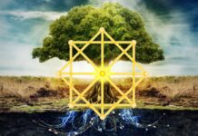 Как правильно использовать матрицу судьбы