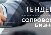 Тендерное сопровождение: что входит в услугу