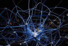 Эффективное распознавание первичных документов с помощью ИИ: переход к более точной и быстрой бухгалтерии