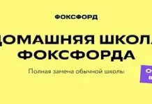 Что такое дистанционное обучение в школе